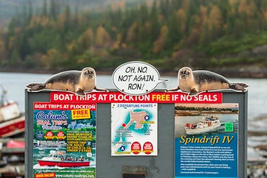 Abogados en Asesor.Legal guia para reclamar a atrapalo por viaje cancelado 3