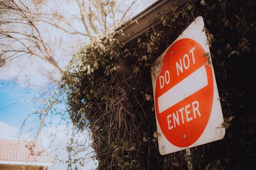 Abogados en Asesor.Legal kubo legal 1 1