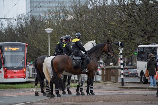 Abogados en Asesor.Legal | Asesoría legal para Los abogados en Derecho Educativo de UNAES Abogados en Asesor.Legal los abogados en derecho educativo de unaes 5