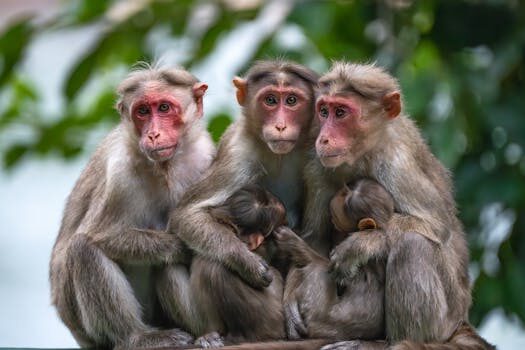 Abogados en Asesor.Legal | Asesoría legal para Los mejores abogados de familia en Mislata para custodias compartidas conflictivas Abogados en Asesor.Legal los mejores abogados de familia en mislata para custodias compartidas conflictivas 2