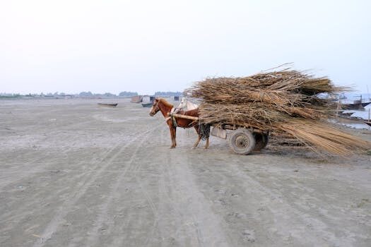 Abogados en Asesor.Legal necesitas ayuda de un abogado especializado en laboral en pontevedra 1