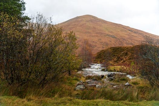 Abogados en Asesor.Legal que dice la ley sobre servicios de streaming 1