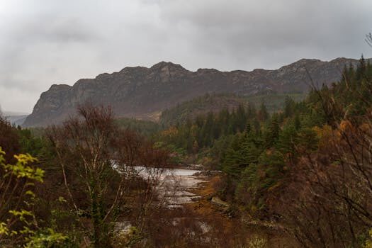 Abogados en Asesor.Legal que dice la ley sobre servicios de streaming 3