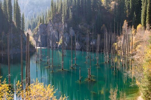 Abogados en Asesor.Legal | Asesoría legal para Qué dice la ley sobre vicios ocultos en Renault Abogados en Asesor.Legal que dice la ley sobre vicios ocultos en renault 3