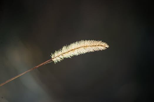 Abogados en Asesor.Legal que es la papeleta de conciliacion y cuando se debe presentar 2