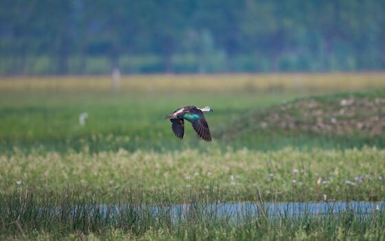 Abogados en Asesor.Legal | Asesoría legal para Qué hacer si Air Europa cambia de horario sin previo aviso Abogados en Asesor.Legal que hacer si air europa cambia de horario sin previo aviso 3