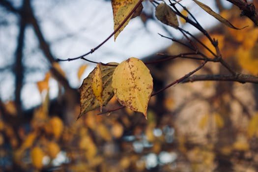 Abogados en Asesor.Legal | Asesoría legal para Qué hacer si Air Europa cambia de horario sin previo aviso Abogados en Asesor.Legal que hacer si air europa cambia de horario sin previo aviso 4