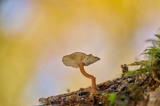 Abogados en Asesor.Legal que hacer si caixabank se niega a devolver clausula suelo 1