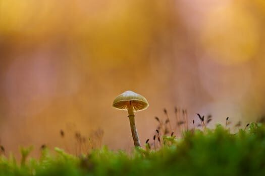 Abogados en Asesor.Legal que hacer si caixabank se niega a devolver clausula suelo 3