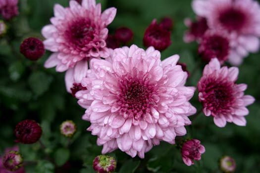 Abogados en Asesor.Legal | Asesoría legal para Qué hacer si Carrefour Online no entrega productos frescos Abogados en Asesor.Legal que hacer si carrefour online no entrega productos frescos 3