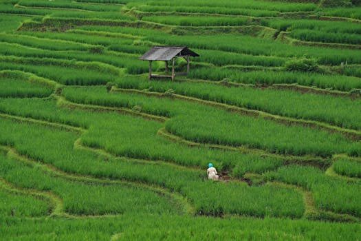 Abogados en Asesor.Legal que hacer si dietetica central vende producto caducado 4