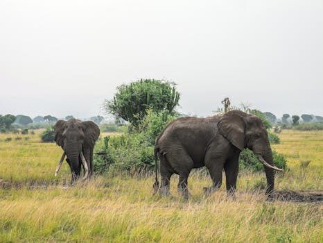 Abogados en Asesor.Legal | Asesoría legal para Qué hacer si eBay no protege al comprador Abogados en Asesor.Legal que hacer si ebay no protege al comprador 2