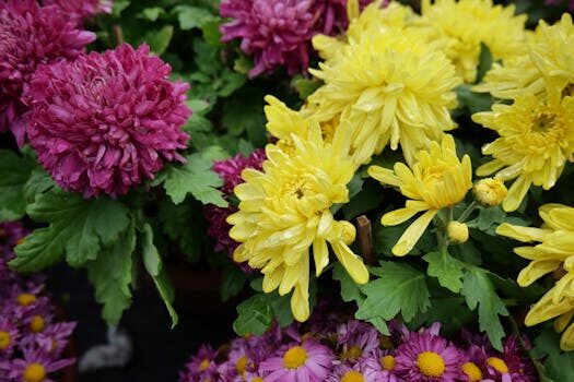 Abogados en Asesor.Legal | Asesoría legal para Qué hacer si el seguro del hogar te da una indemnización baja Abogados en Asesor.Legal que hacer si el seguro del hogar te da una indemnizacion baja 2