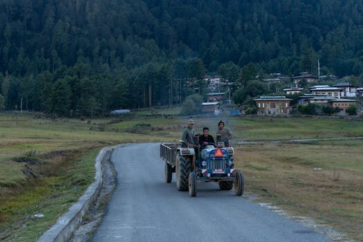 Abogados en Asesor.Legal | Asesoría legal para Qué hacer si el seguro del hogar te da una indemnización baja Abogados en Asesor.Legal que hacer si el seguro del hogar te da una indemnizacion baja 5