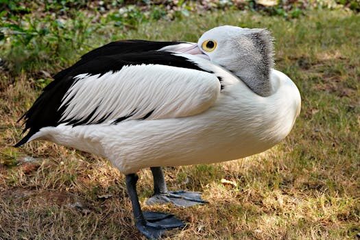 Abogados en Asesor.Legal | Asesoría legal para Qué hacer si Foot Locker no entrega el pedido Abogados en Asesor.Legal que hacer si foot locker no entrega pedido 1