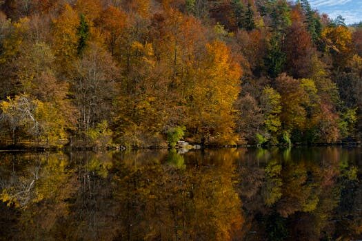 Abogados en Asesor.Legal que hacer si lowi me corta la linea sin motivo 2