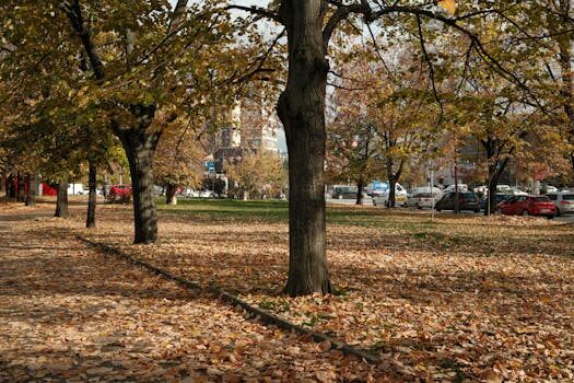 Abogados en Asesor.Legal que hacer si lowi me corta la linea sin motivo 3