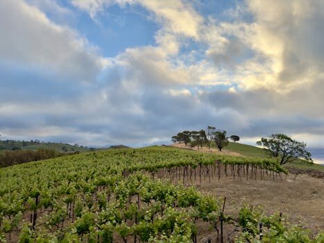 Abogados en Asesor.Legal que hacer si lush vende producto caducado 2