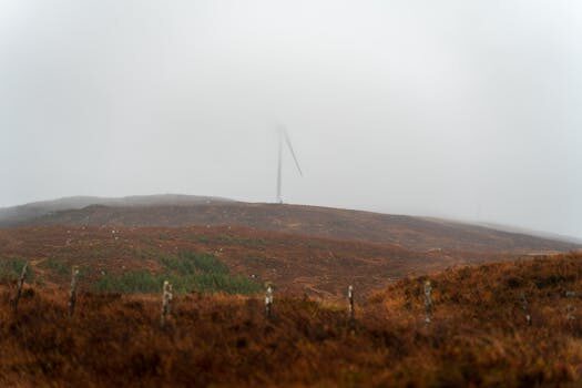 Abogados en Asesor.Legal | Asesoría legal para Qué hacer si Mercadona se niega a cambiar un producto Abogados en Asesor.Legal que hacer si mercadona se niega a cambiar un producto 1