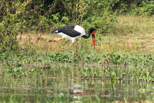 Abogados en Asesor.Legal que hacer si netflix me cobra dos veces 2