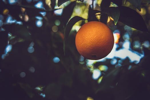 Abogados en Asesor.Legal que hacer si orange sigue cobrando despues de una baja 2