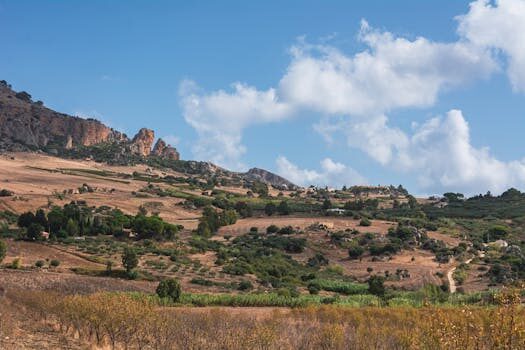 Abogados en Asesor.Legal | Asesoría legal para Qué hacer si Pepephone no activa correctamente tu línea Abogados en Asesor.Legal que hacer si pepephone no activa correctamente tu linea 5