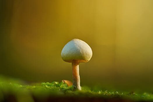 Abogados en Asesor.Legal | Asesoría legal para Qué hacer si Philips Hue no funciona correctamente Abogados en Asesor.Legal que hacer si philips hue no funciona correctamente 1