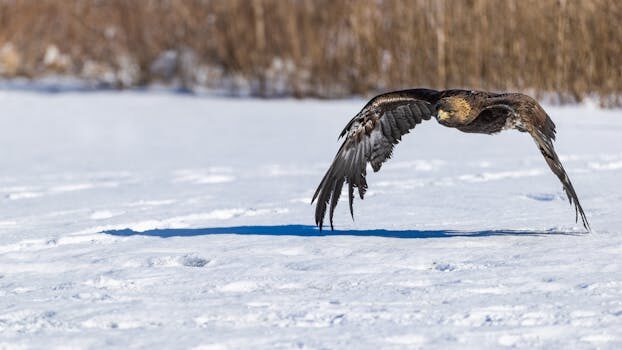 Abogados en Asesor.Legal | Asesoría legal para Qué hacer si pierdes conexión por retraso del avión Abogados en Asesor.Legal que hacer si pierdes conexion por retraso del avion 5