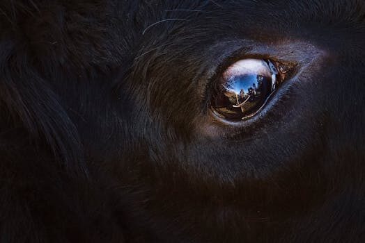 Abogados en Asesor.Legal que hacer si taurus rechaza reparacion sin motivo 3