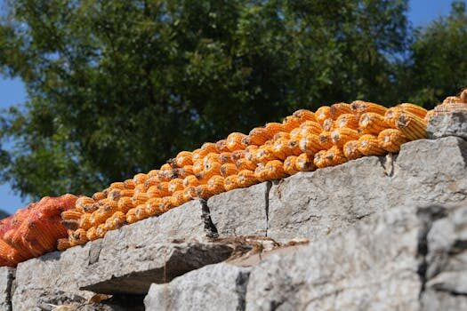 Abogados en Asesor.Legal | Asesoría legal para Qué hacer si Telepizza no entrega el pedido completo Abogados en Asesor.Legal que hacer si telepizza no entrega el pedido completo 5