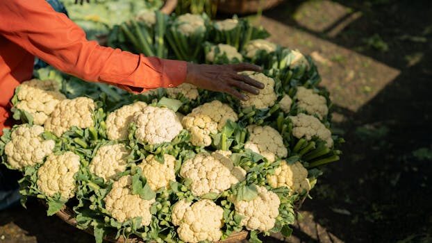 Abogados en Asesor.Legal | Asesoría legal para Qué hacer si Uber Eats cobra de más Abogados en Asesor.Legal que hacer si uber eats cobra de mas 2