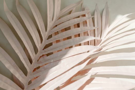 Abogados en Asesor.Legal | Asesoría legal para Qué hacer si Xiaomi no envía repuestos garantizados Abogados en Asesor.Legal que hacer si xiaomi no envia repuestos garantizados 4