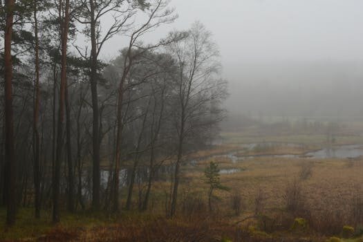 Abogados en Asesor.Legal reclamacion a philips hue por luces defectuosas 3