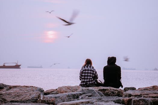 Abogados en Asesor.Legal tarjeta roja guia completa para solicitantes de proteccion internacional en espana 3