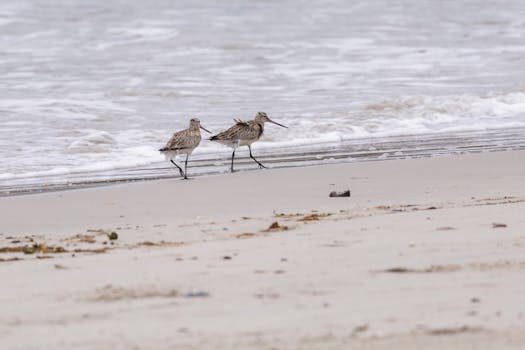 Abogados en Asesor.Legal abogado especialista en errores de facturacion electrica con totalenergies 1