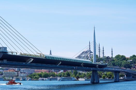 Abogados en Asesor.Legal | Asesoría legal para Abogado especialista en penalizaciones por permanencia ilegal con Disa Abogados en Asesor.Legal abogado especialista en penalizaciones por permanencia ilegal con disa 1