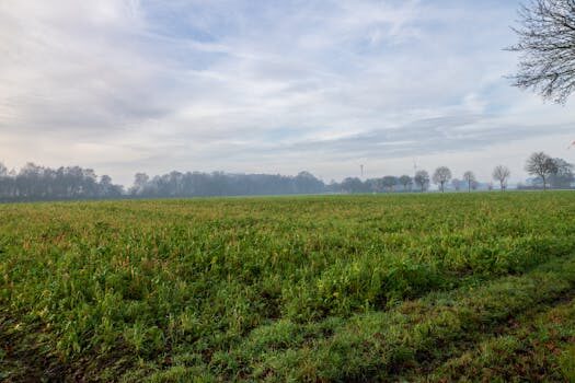 Abogados en Asesor.Legal abogado especialista en problemas de suministro energetico con disa 5