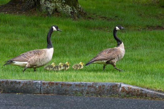 Abogados en Asesor.Legal abogado urbanista expertos en derecho urbanistico y planeamiento 4