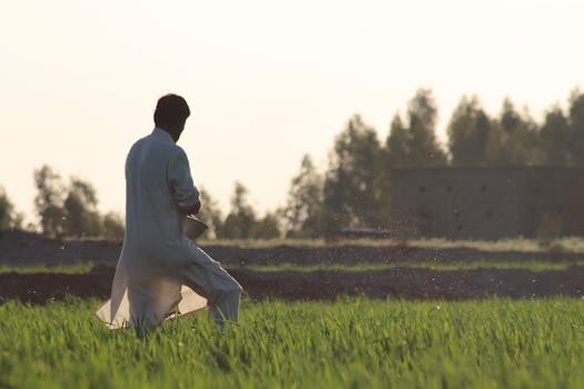 Abogados en Asesor.Legal abogados laborales para empresas gestion laboral y asesoria juridica 3