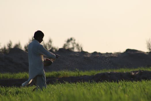 Abogados en Asesor.Legal abogados para empleados del hogar derechos despido y seguridad social 1