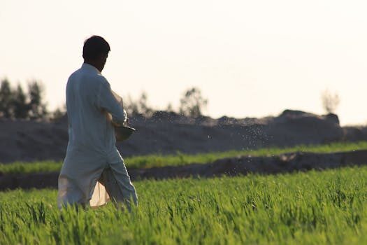 Abogados en Asesor.Legal | Asesoría legal para Accidentes laborales en España: causas más comunes y prevención Abogados en Asesor.Legal accidentes laborales en espana causas mas comunes y prevencion 1