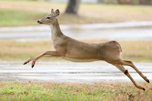 Abogados en Asesor.Legal | Asesoría legal para Acciona Energía aplica lecturas estimadas abusivas: derechos y reclamación Abogados en Asesor.Legal acciona energia aplica lecturas estimadas abusivas derechos y reclamacion 4