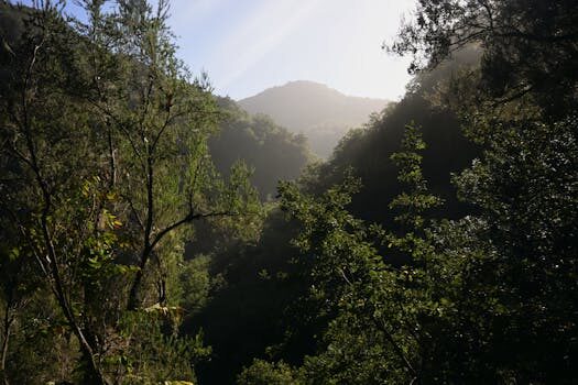 Abogados en Asesor.Legal | Asesoría legal para Alquiler vacacional: qué debe incluir el contrato y cómo denunciar si no tiene número de registro Abogados en Asesor.Legal alquiler vacacional que debe incluir el contrato y como denunciar si no tiene numero de registro 4