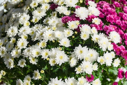 Abogados en Asesor.Legal | Asesoría legal para Amenara: cómo demandar por defectos en el sistema de recogida de basuras comunitario Abogados en Asesor.Legal amenara como demandar por defectos en el sistema de recogida de basuras comunitario 1