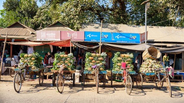 Abogados en Asesor.Legal | Asesoría legal para Asistente IA para reclamar compras de supermercados online Abogados en Asesor.Legal asistente ia para reclamar compras de supermercados online 5