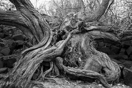 Abogados en Asesor.Legal | Asesoría legal para Averías graves en el sistema híbrido de Geely: guía de reclamación legal Abogados en Asesor.Legal averias graves en el sistema hibrido de geely guia de reclamacion legal 1