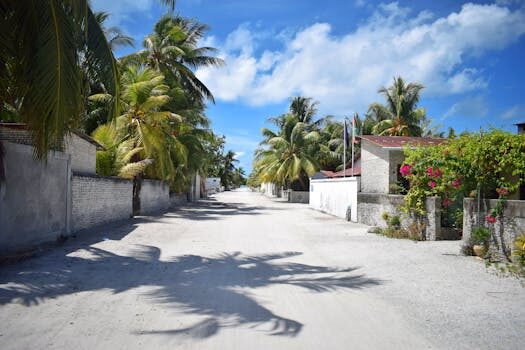 Abogados en Asesor.Legal | Asesoría legal para Baser COR corta la luz sin cumplir requisitos o a vulnerable: vías de reclamación Abogados en Asesor.Legal baser cor corta la luz sin cumplir requisitos o a vulnerable vias de reclamacion 5