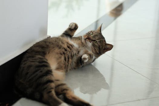 Abogados en Asesor.Legal | Asesoría legal para Boreal: abogado para demandar por defectos en la ejecución de la solera Abogados en Asesor.Legal boreal abogado para demandar por defectos en la ejecucion de la solera 3 1