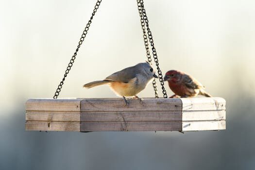 Abogados en Asesor.Legal | Asesoría legal para Cadena de distribución rota en Renault: pasos para denunciar Abogados en Asesor.Legal cadena de distribucion rota en renault pasos para una denuncia 3