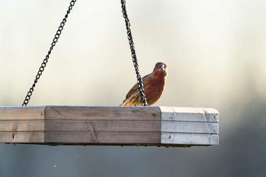 Abogados en Asesor.Legal | Asesoría legal para Cadena de distribución rota en Renault: pasos para denunciar Abogados en Asesor.Legal cadena de distribucion rota en renault pasos para una denuncia 4